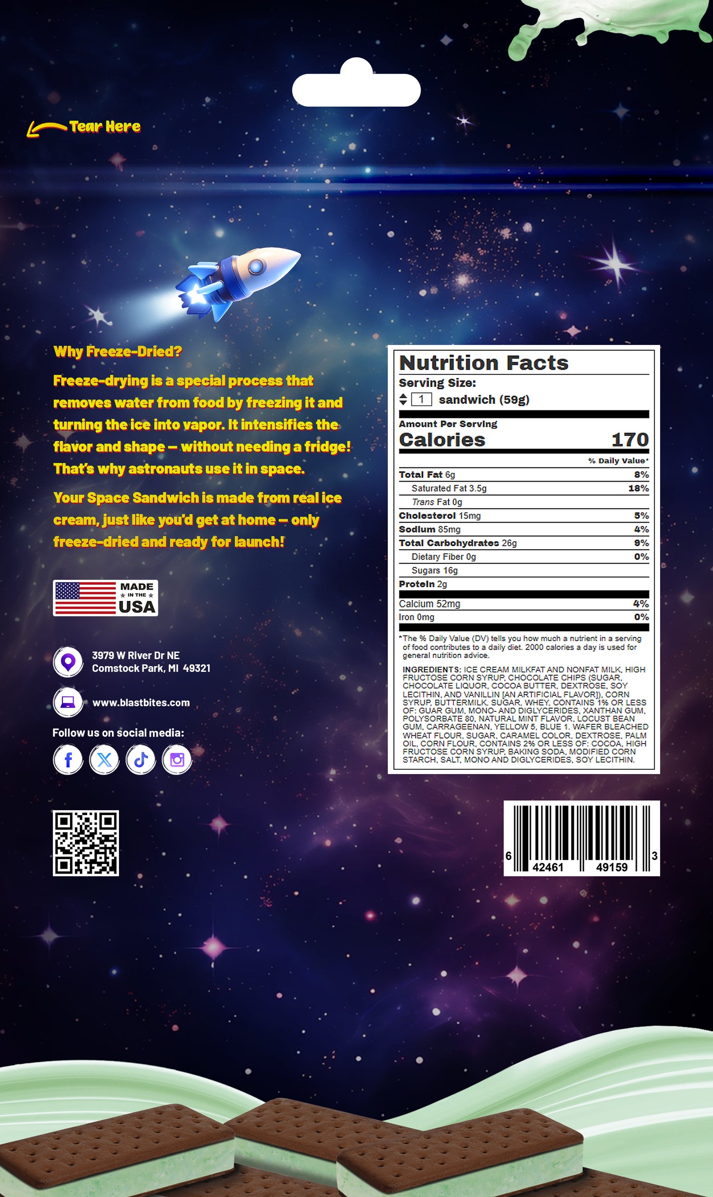 Space Sandwich - Mint Chocolate Chip