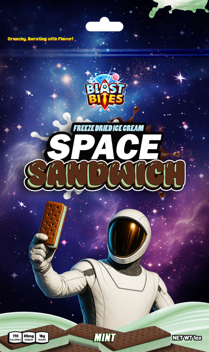 Space Sandwich - Mint Chocolate Chip