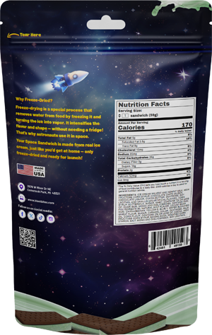 Space Sandwich - Mint Chocolate Chip